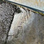 Bildquelle: Stefan Berger (Feuerwehr March)